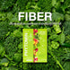 PHYTOMIN FIBER | ไฟโตมิน ไฟเบอร์